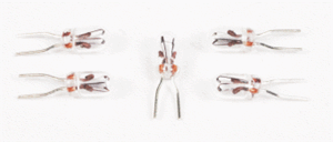 Massoth Electronics Plug In Bulbs, 5 V - 10 Pac