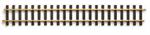 Train LI Sectional Pro Track Straight 10 straight track 2 (600mm), Brass