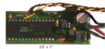 RAM Lights & Sound Sound Crickets