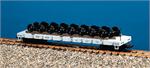 USA Trains D&RGW